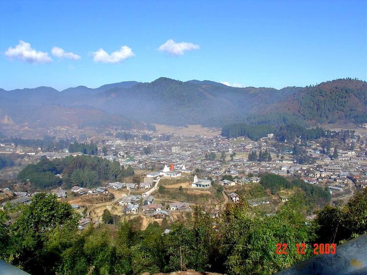 Ziro.JPG